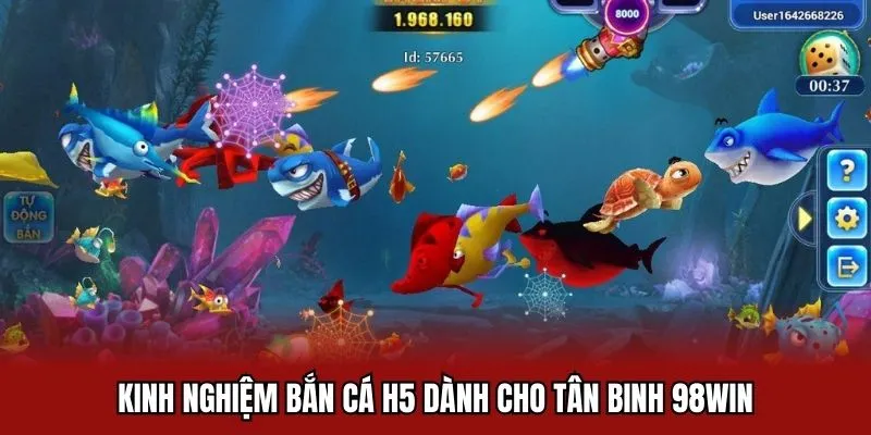 Kinh nghiệm bắn cá H5 chất lượng cho tân binh 98win